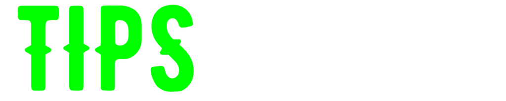 Logo Tips Infra